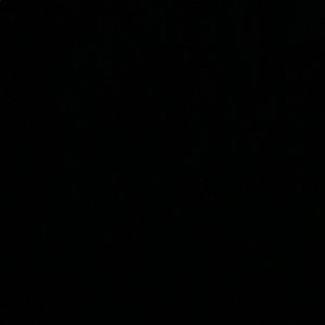 Meet your Posher, Corey